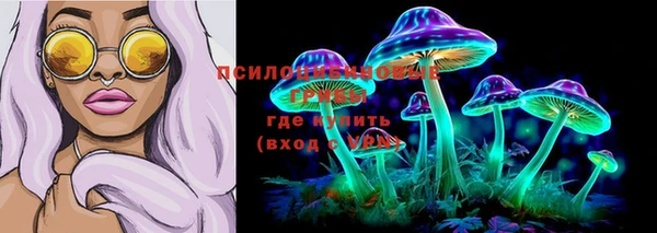 скорость Баксан