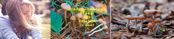 скорость Баксан
