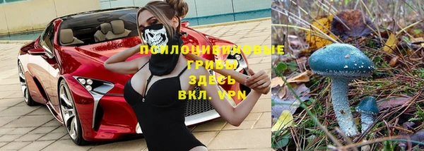 скорость Баксан
