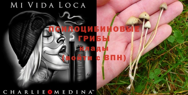 MDMA Приозерск