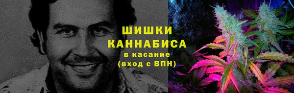 крисы Аркадак