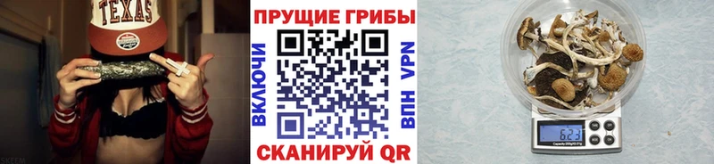 Галлюциногенные грибы мухоморы  darknet клад  Гуково 